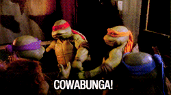 tmnt cowabunga